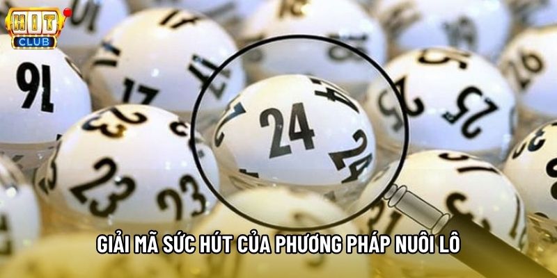 Giải mã sức hút của phương pháp nuôi lô Giải mã sức hút của phương pháp nuôi lô