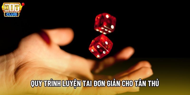 Quy trình luyện tai đơn giản cho tân thủ Quy trình luyện tai đơn giản cho tân thủ