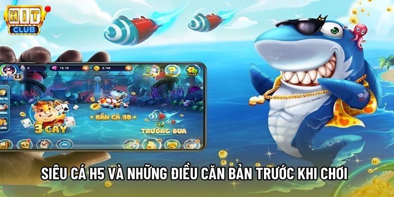 Siêu cá H5 và những điều căn bản trước khi chơi Siêu cá H5 và những điều căn bản trước khi chơi